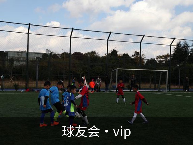 关于球友会·vip